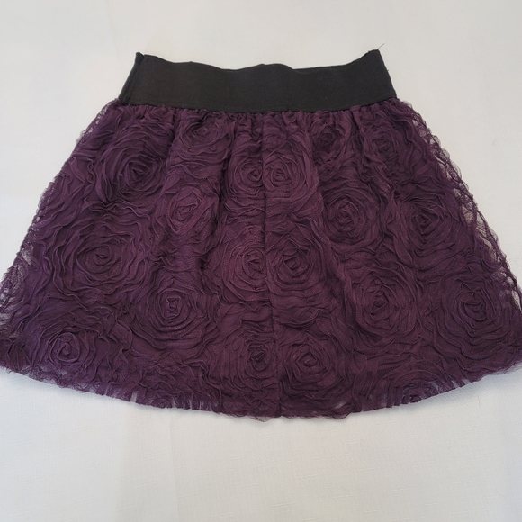 Stooshy Dresses & Skirts - Stooshy Lace Lined Skirt in S